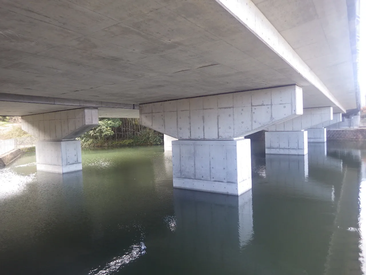 川の中の橋脚